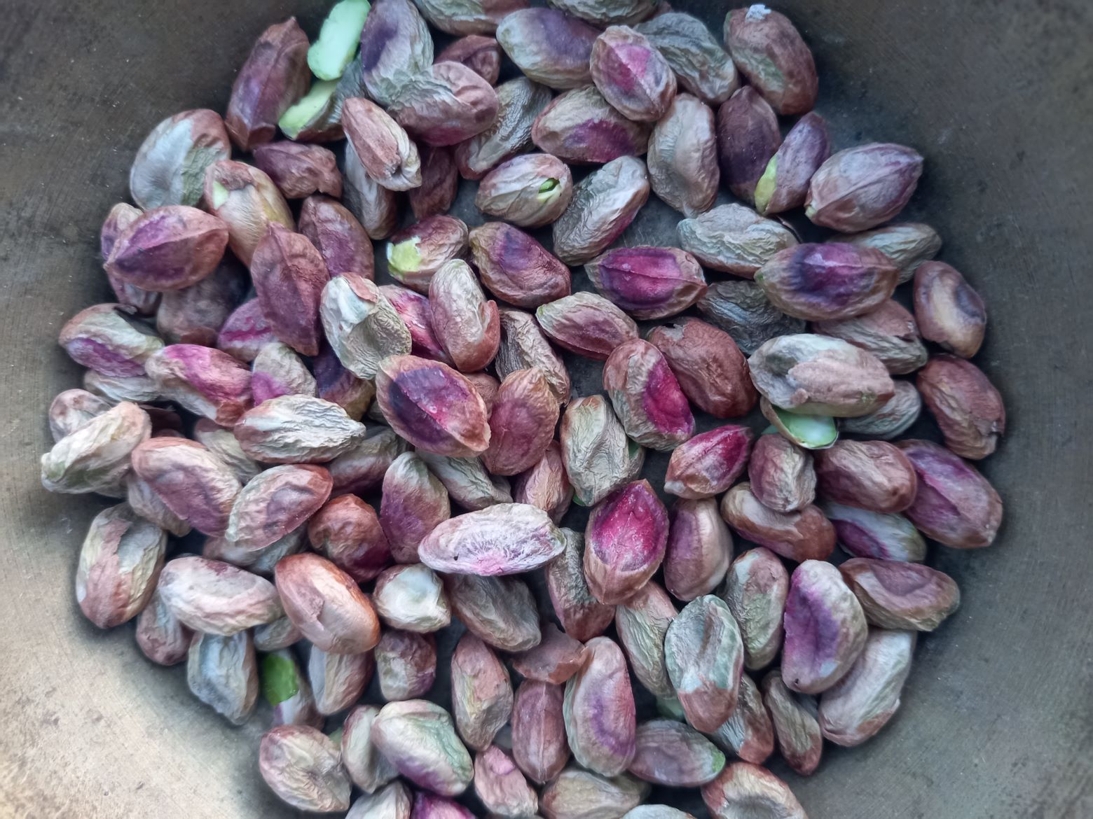 فروش و صادرات انواع پسته
